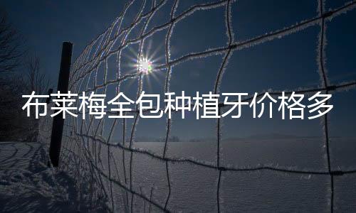 布萊梅全包種植牙價格多少錢?美國皓圣種植體+基臺+牙冠5800+
