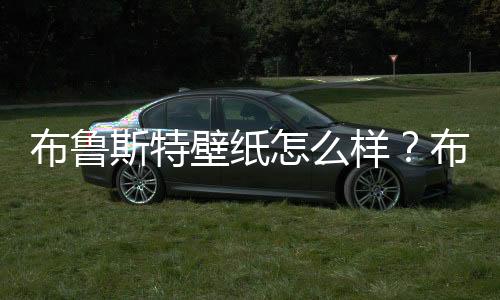 布魯斯特壁紙怎么樣？布魯斯特壁紙價格貴嗎？