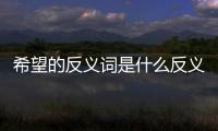 希望的反義詞是什么反義詞是什么（希望反義詞是什么）