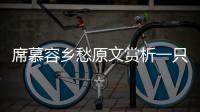 席慕容鄉愁原文賞析一只一種一棵（席慕容鄉愁原文）