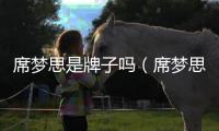 席夢(mèng)思是牌子嗎（席夢(mèng)思品牌）