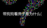 帶狗狗看房子是為什么(狗狗為什么不單獨在一個房子里)