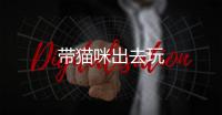 帶貓咪出去玩