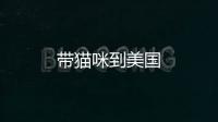 帶貓咪到美國