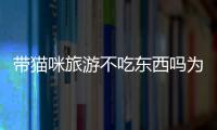 帶貓咪旅游不吃東西嗎為什么？帶貓咪出去旅游