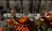 帶寬、延時、吞吐率、PPS這些都是啥？