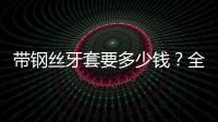 帶鋼絲牙套要多少錢？全國(guó)平均價(jià)位調(diào)查