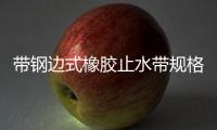 帶鋼邊式橡膠止水帶規格尺寸有哪些
