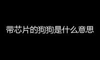 帶芯片的狗狗是什么意思(帶芯片的狗狗)