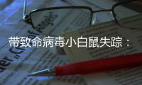 帶致命病毒小白鼠失蹤：危險的生物研究