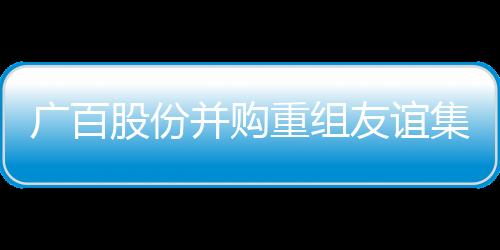 廣百股份并購重組友誼集團(tuán)事項(xiàng)獲證監(jiān)會(huì)審核通過