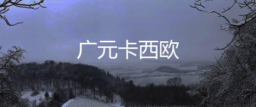 廣元卡西歐