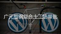 廣元塑鋼復(fù)合土工筋帶批發(fā)價(jià)格