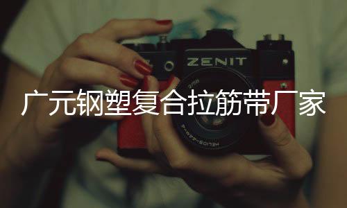 廣元鋼塑復合拉筋帶廠家電話