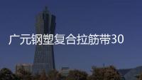 廣元鋼塑復合拉筋帶30020C價格優惠