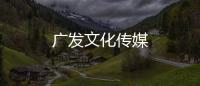 廣發(fā)文化傳媒