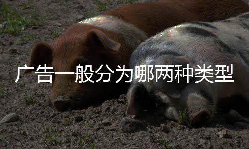 廣告一般分為哪兩種類型（廣告分為哪幾種類型）