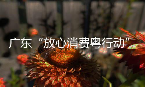 廣東“放心消費粵行動”巡回宣傳活動在佛山舉行