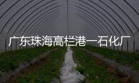廣東珠海高欄港一石化廠發生爆炸