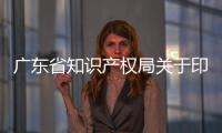 廣東省知識產(chǎn)權(quán)局關(guān)于印發(fā)《直播電商知識產(chǎn)權(quán)保護(hù)工作指引》的通知