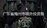 廣東省梅州市境外投資備案辦證費用是多少