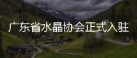 廣東省水晶協會正式入駐京港珠寶商城,行業資訊