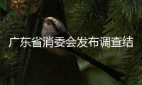 廣東省消委會發布調查結果：600款網售產品近半“三無”