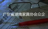 廣東省湖南家具協(xié)會(huì)眾企業(yè)再聚東莞名家展