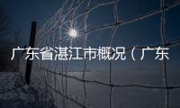 廣東省湛江市概況（廣東湛江簡介）