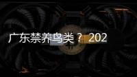 廣東禁養(yǎng)鳥類？ 2021年禁養(yǎng)鳥類