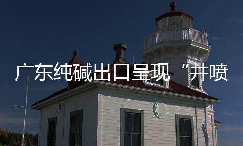 廣東純堿出口呈現(xiàn)“井噴”,行業(yè)資訊