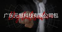 廣東元慧科技有限公司包括廣東元慧軟件科技公司設計的詳細情況