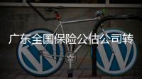 廣東全國(guó)保險(xiǎn)公估公司轉(zhuǎn)讓 轉(zhuǎn)讓原因