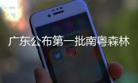 廣東公布第一批南粵森林人家名單，梅州這些單位上榜！