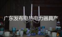 廣東發布電熱電力器具產品消費安全指引