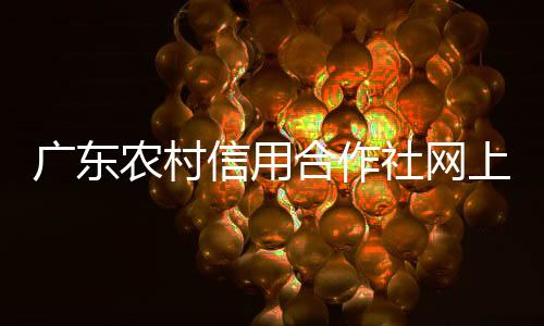 廣東農村信用合作社網上銀行(廣東農村信用合作社)