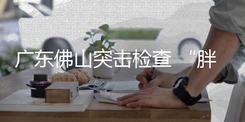 廣東佛山突擊檢查 “胖哥倆肉蟹煲”門店