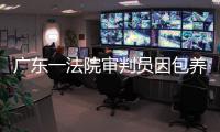 廣東一法院審判員因包養(yǎng)情婦被開(kāi)除黨籍公職
