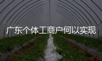 廣東個體工商戶何以實現量質齊升