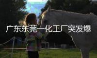 廣東東莞一化工廠突發(fā)爆炸事故 300平方米火勢已控，無人傷亡