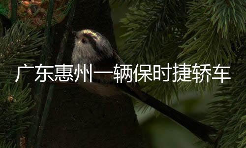 廣東惠州一輛保時捷轎車起火燃燒 街頭突發(fā)，無人傷亡