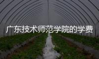 廣東技術師范學院的學費（廣東技術師范學院天河學院學費）