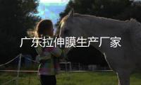 廣東拉伸膜生產廠家