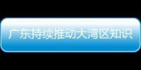 廣東持續推動大灣區知識產權公共服務互融互通