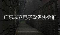 廣東成立電子政務協會推動“數字廣東”建設