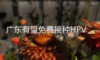 廣東有望免費接種HPV疫苗：在接種前，哪些問題需要弄明白？