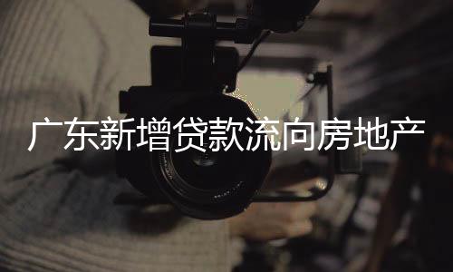 廣東新增貸款流向房地產等五大行業