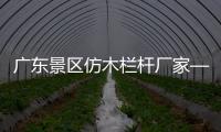 廣東景區(qū)仿木欄桿廠家——廣州友翠圍欄