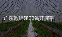 廣東欲組建20省開展帶量采購 有些代理商可以歇了！