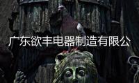 廣東欲豐電器制造有限公司榮獲“防墜落裝置十大品牌”稱號(hào)